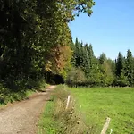 Waldblick *