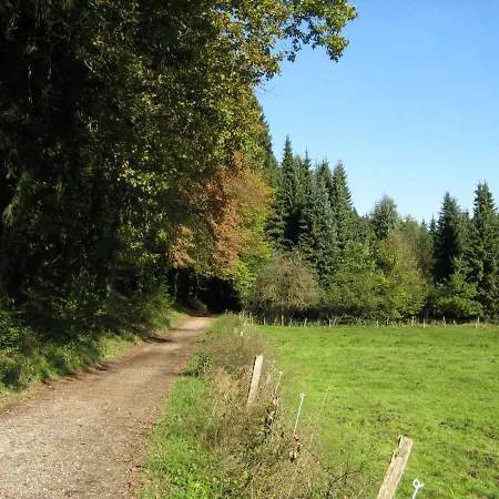 Waldblick *